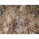 Sportchief Mossy Oak® Duck Blind™ Pattern